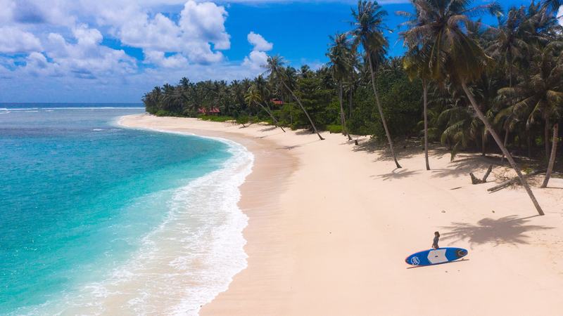 Pemain papan dayung di pantai pasir putih yang sepi dengan deretan pohon kelapa