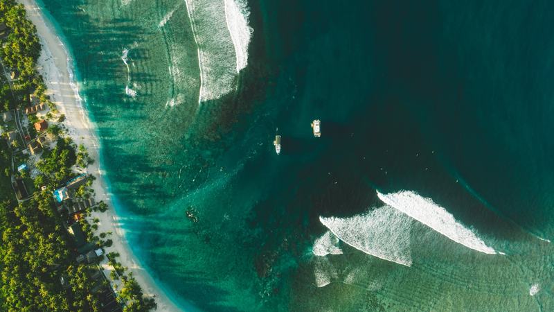 Pemandangan udara ombak pecah di karang dekat pantai berderet kelapa